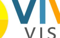 Logo Small - logo small vivid vision